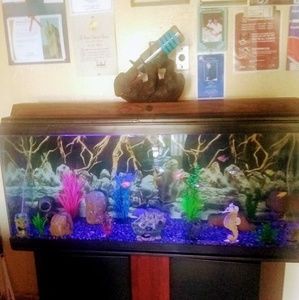 Meet your Posher, Ira